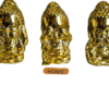 deco buda 9