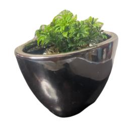 deco maceteros porta maceteros ceramico plata